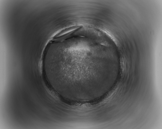 X0000095940488200801251113