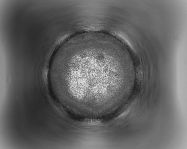 X0000095940491200801251113