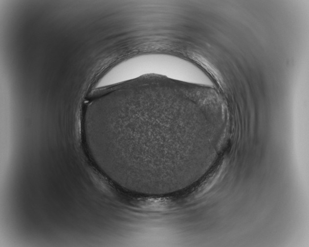 X0000095940493200801251113