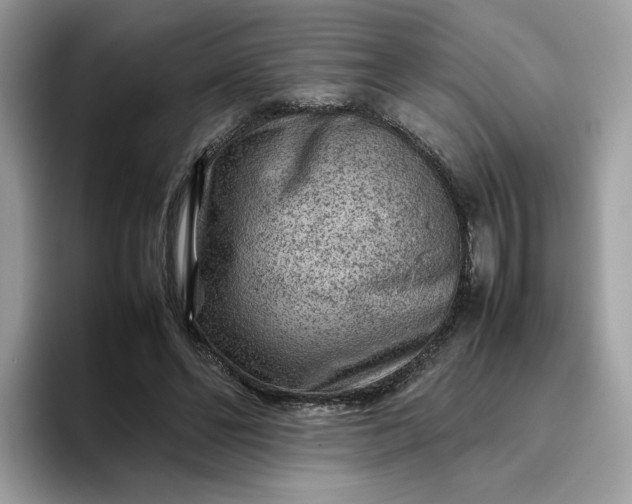 X0000095940494200801251113