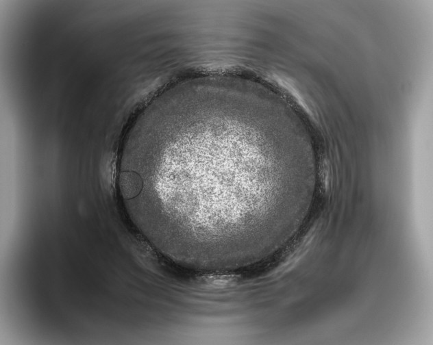 X0000095940495200801251113