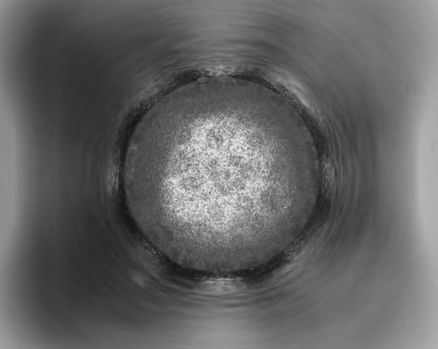 X0000095940499200801251113