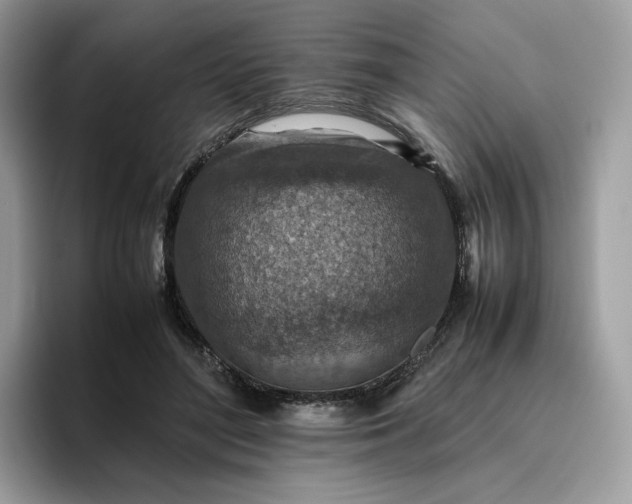 X0000095940500200801251113