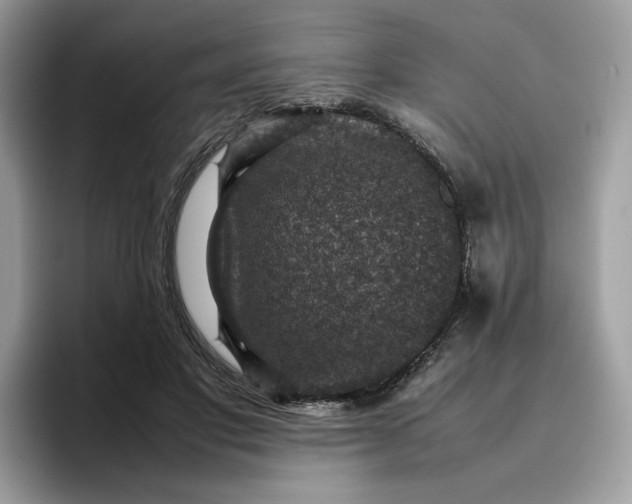 X0000095940501200801251113