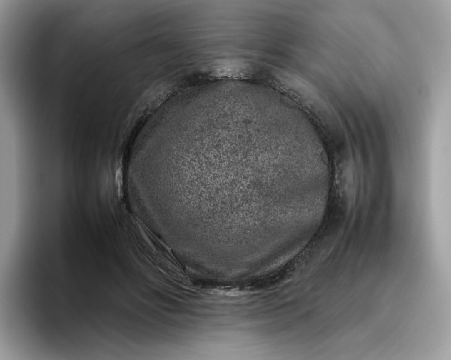 X0000095940502200801251113