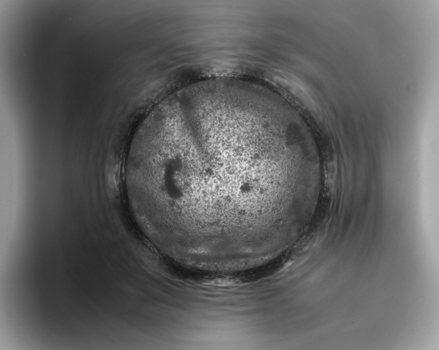 X0000095940503200801251113