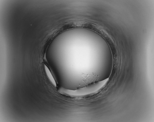 X0000095940505200801251113