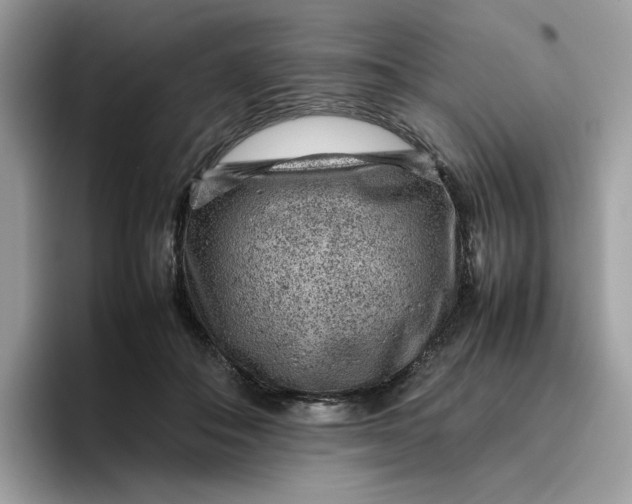 X0000095940506200801251113