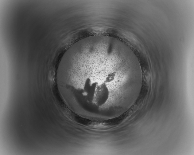 X0000095940507200801251113