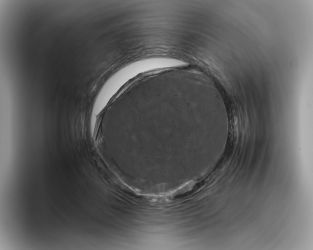 X0000095940508200801251113