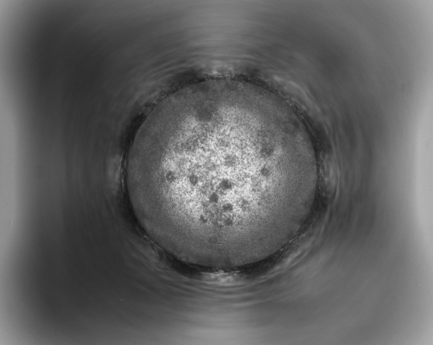 X0000095940511200801251112