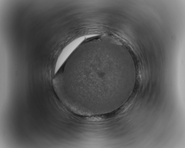 X0000095940512200801251112