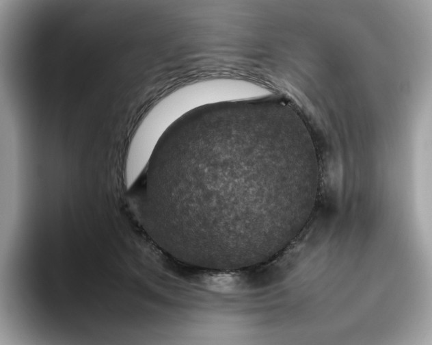 X0000095940513200801251112
