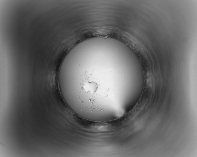 X0000095940514200801251112