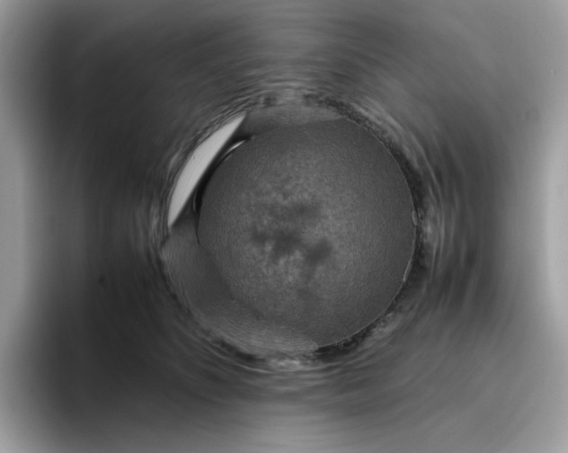 X0000095940516200801251112