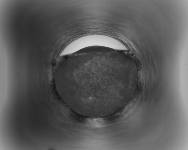 X0000095940517200801251112