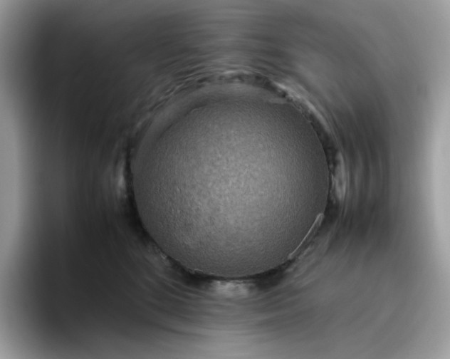 X0000095940520200801251112