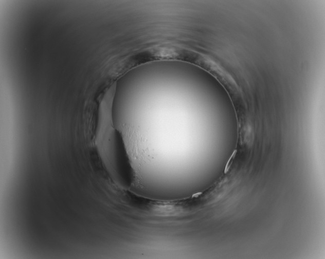 X0000095940521200801251112