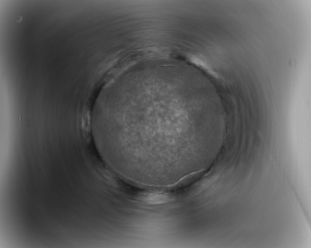 X0000095940528200801251112