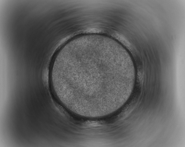 X0000095940534200801251112
