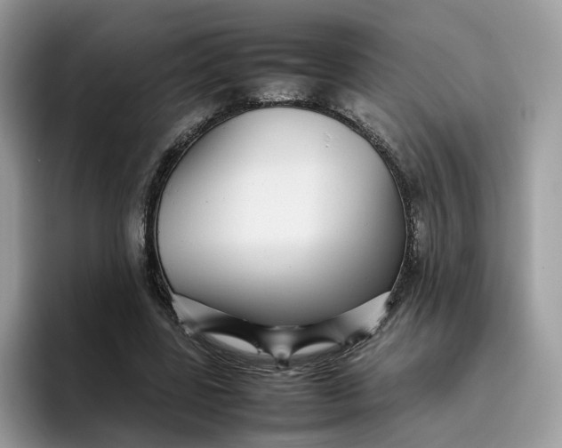 X0000095940539200801251112