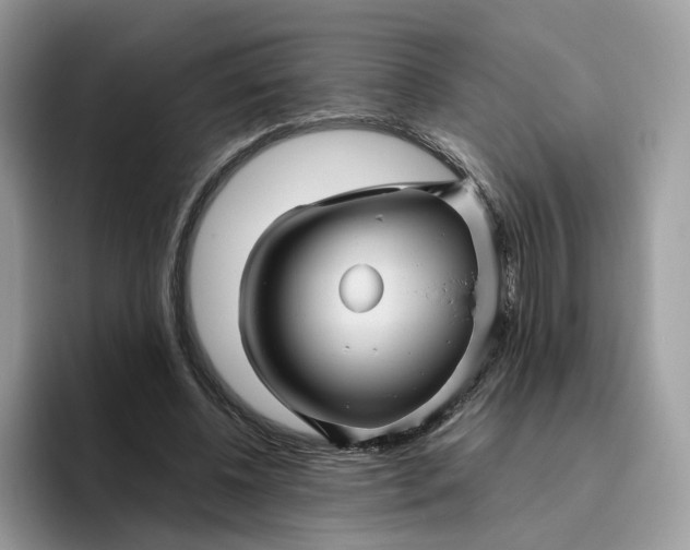 X0000095940540200801251112