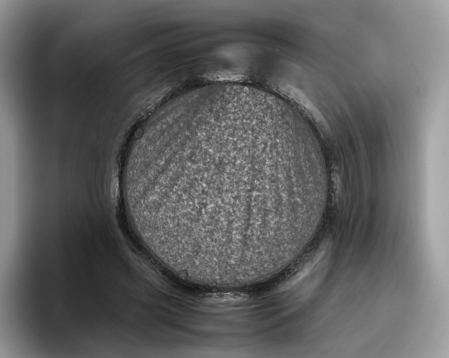 X0000095940541200801251112