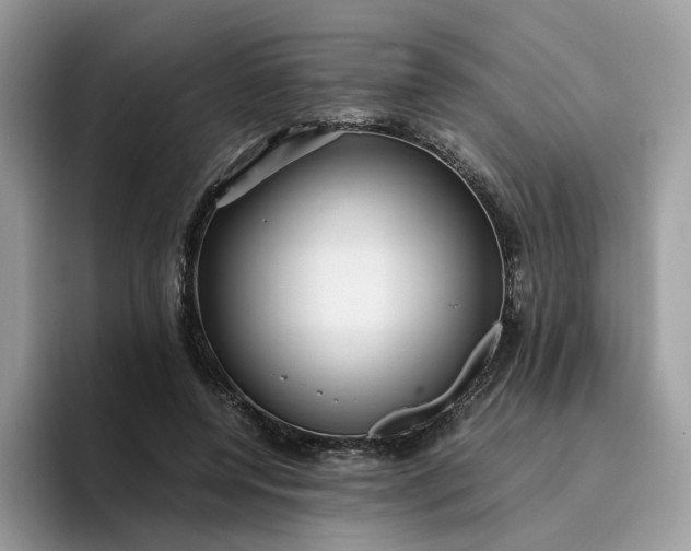 X0000095940544200801251112