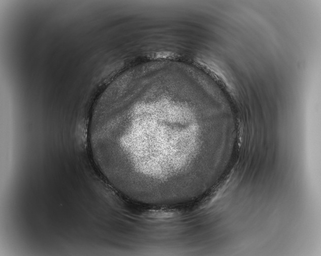 X0000095940545200801251112
