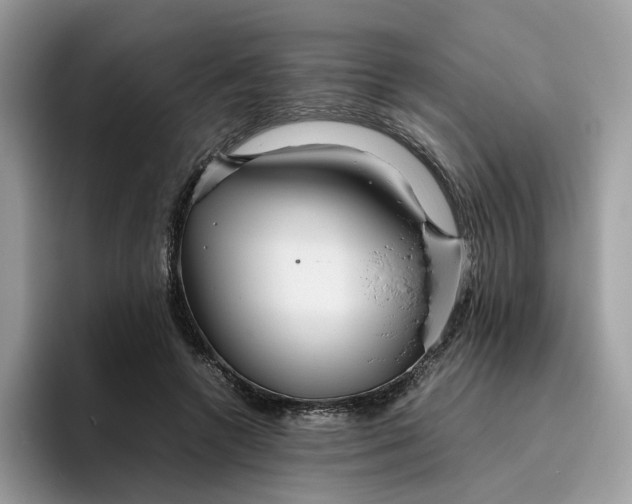 X0000095940546200801251112