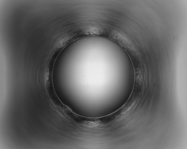 X0000095940548200801251112