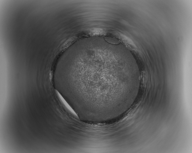 X0000095940550200801251112