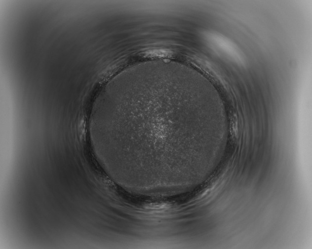 X0000095940551200801251112