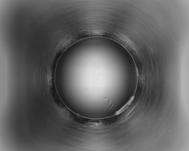 X0000095940552200801251112
