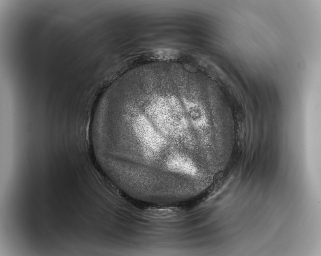 X0000095940553200801251112