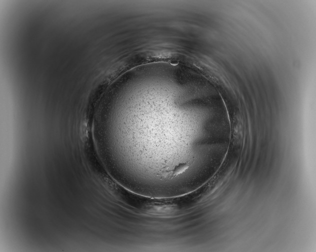 X0000095940555200801251112