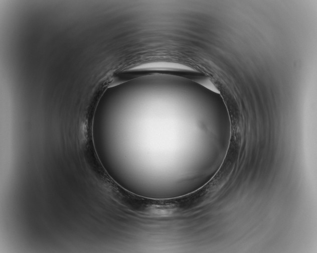 X0000095940556200801251112
