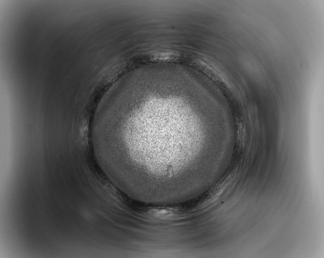 X0000095940557200801251112