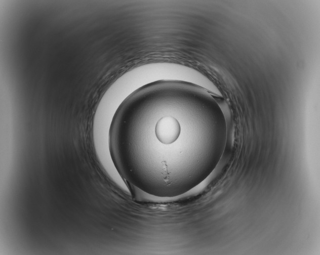 X0000095940558200801251112