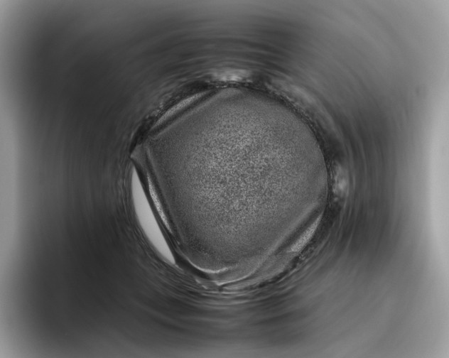 X0000095940559200801251112