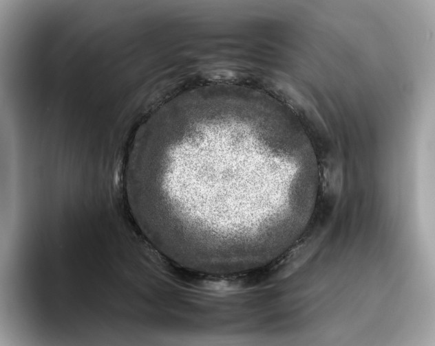 X0000095940561200801251112