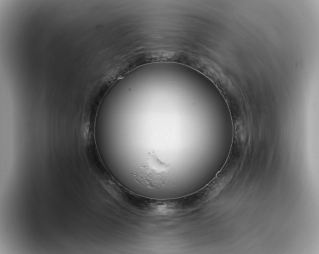 X0000095940564200801251112