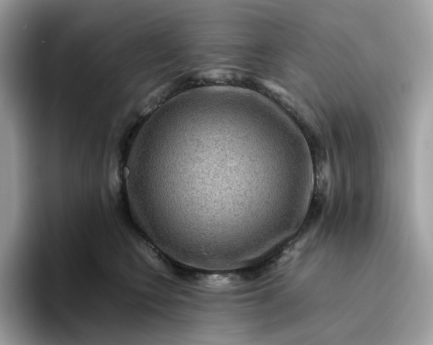 X0000095940566200801251112