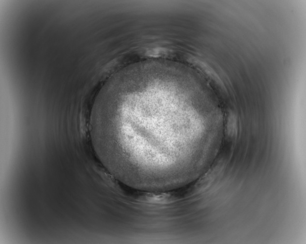 X0000095940569200801251112