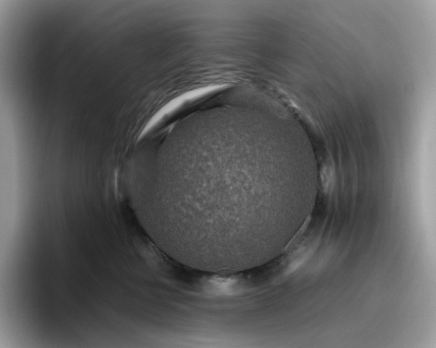X0000095940570200801251112