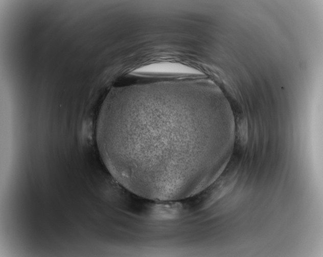 X0000095940571200801251112