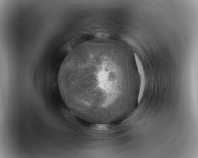 X0000095940573200801251112