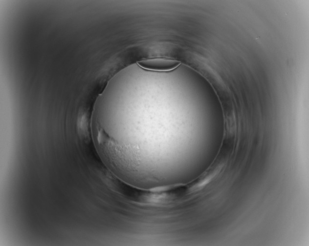 X0000095940575200801251112