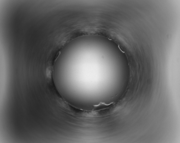 X0000095940576200801251112