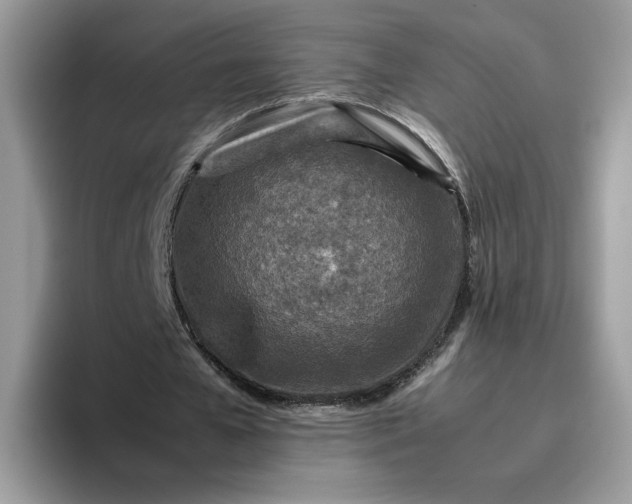 X0000095940577200801251112